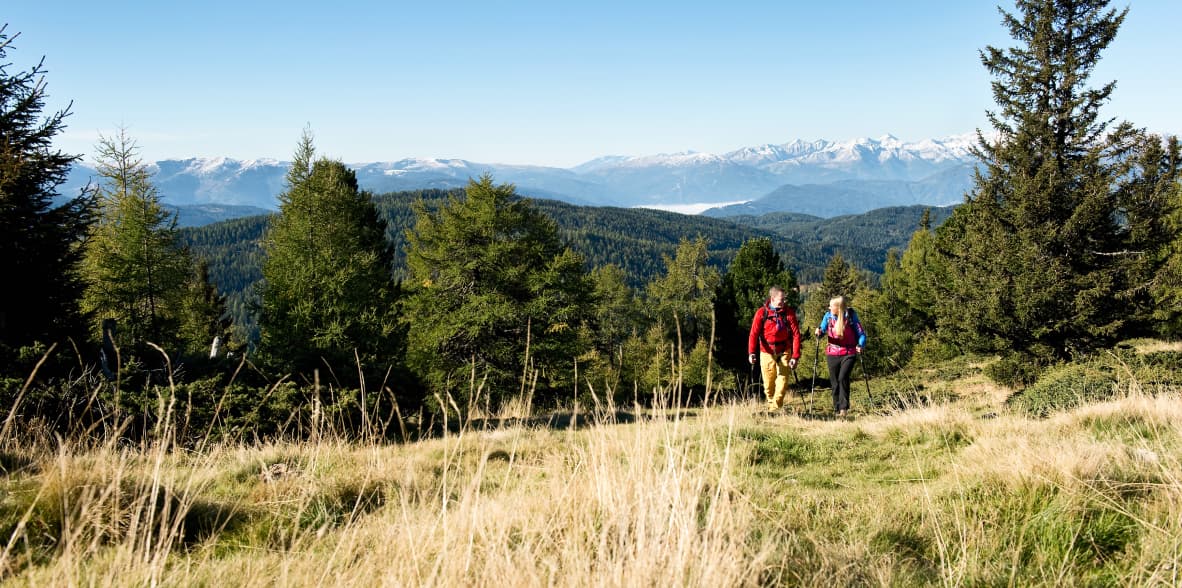 Wanderurlaub im Lungau im Landhut Blasiwirt in St. Michael